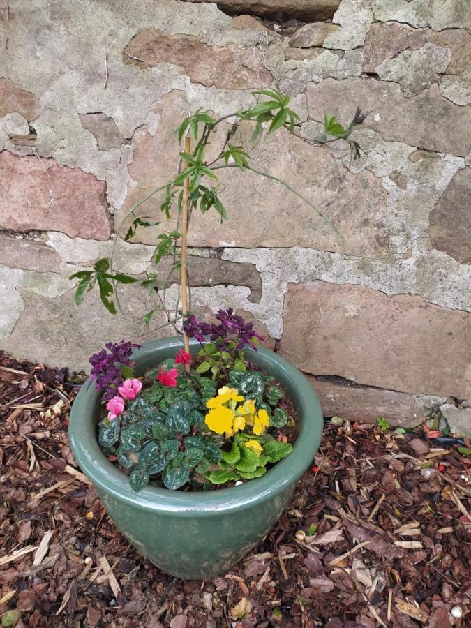 Lottie'S Cottage, Rhynie, Aberdeenshire ภายนอก รูปภาพ